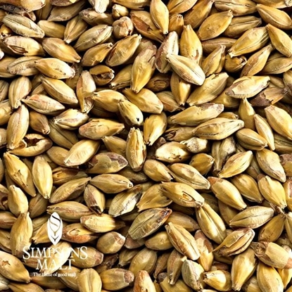 Picture of Simpsons Amber Malt