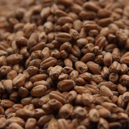 Picture of Weyermann® Floor-Malted Bohemian Wheat Malt