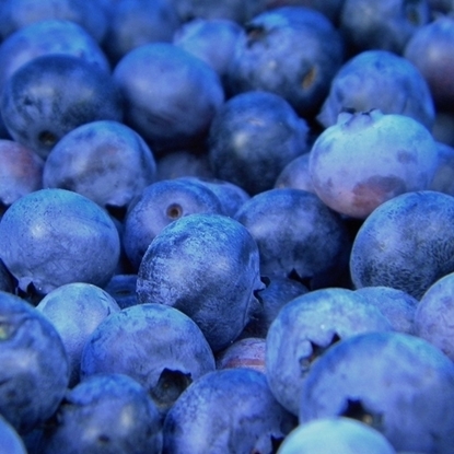 Picture of Kerry Natural Blueberry Flavouring – 5 gal