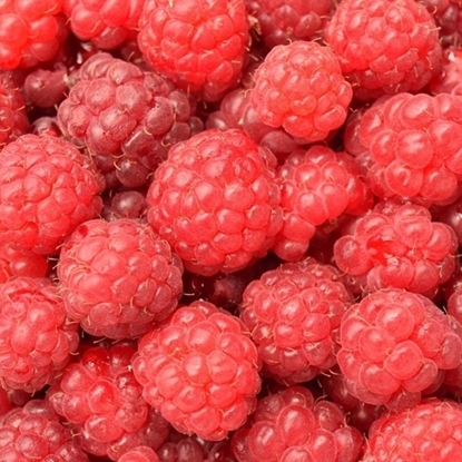 Picture of Kerry Natural Raspberry Flavouring – 5 gal