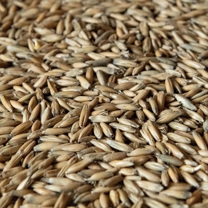 Picture of Rahr Malted Oats